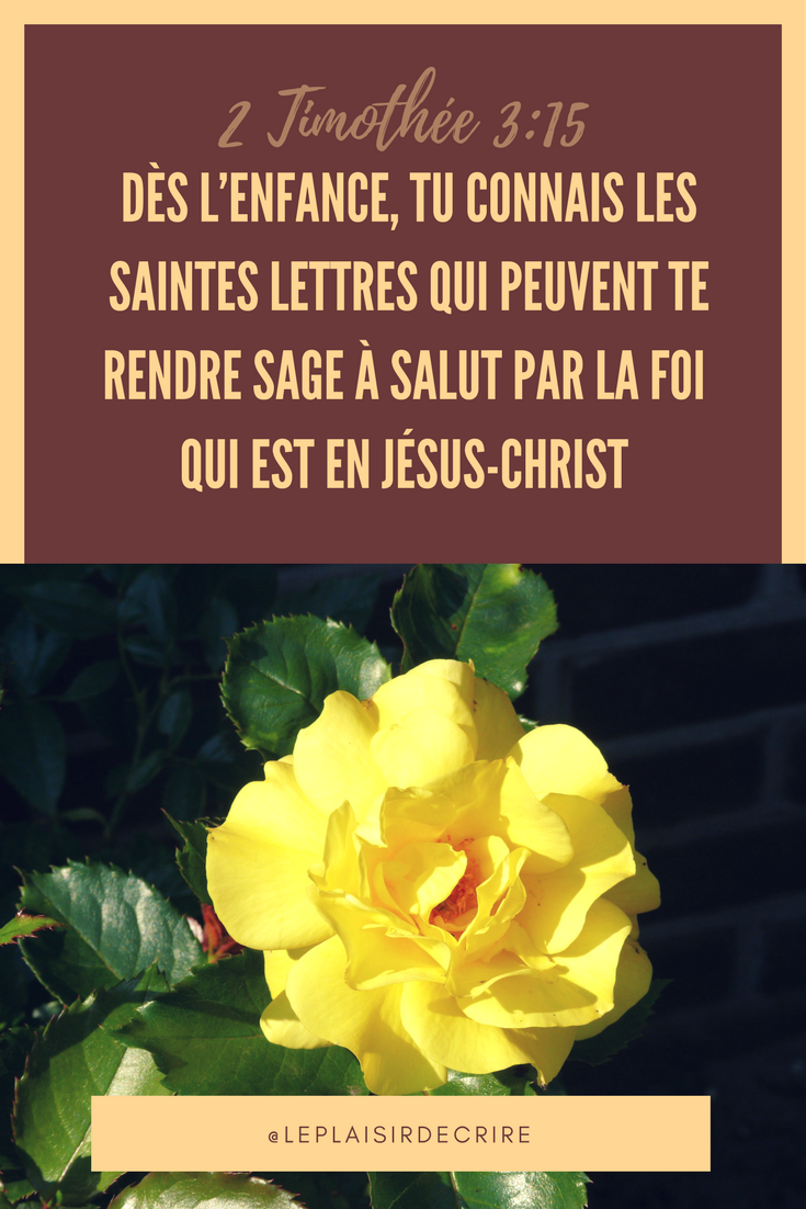 Comment commencer à lire la Bible?