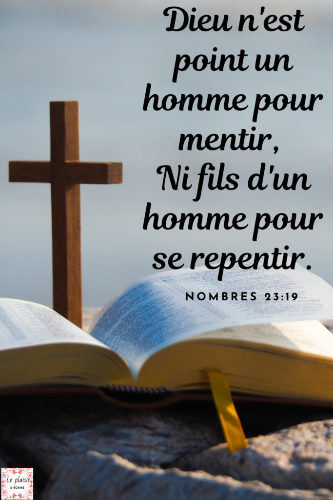 La Bible est un livre rempli de promesses. En fait, c’est la promesse de Dieu de restaurer l’humanité qui nous a donné la Bible. Tout est écrit en fonction des promesses divines.