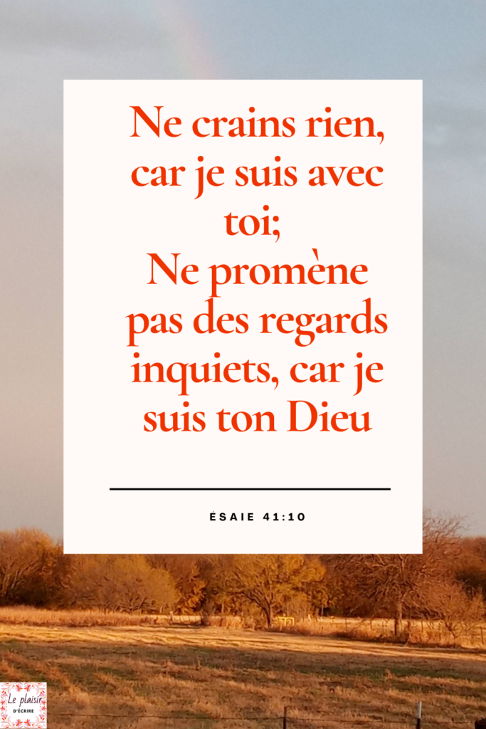 La Bible est un livre rempli de promesses. En fait, c’est la promesse de Dieu de restaurer l’humanité qui nous a donné la Bible. Tout est écrit en fonction des promesses divines.