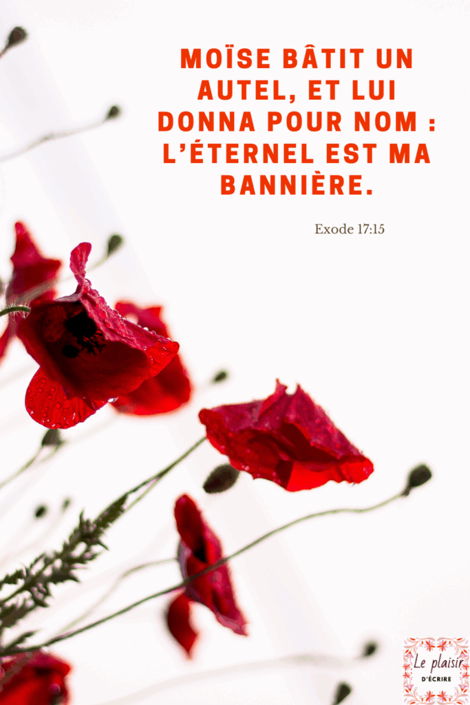 Bien qu'il s'agisse de l'autel qui a été nommé ainsi, ce nom révèle un aspect fondamental et inoubliable du caractère de Dieu.