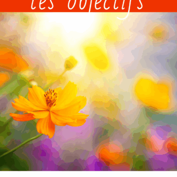 De nombreux chrétiens pensent que la poursuite des objectifs va à l'encontre de certaines croyances chrétiennes et est en contradiction avec le plan que Dieu a en réserve pour nous.