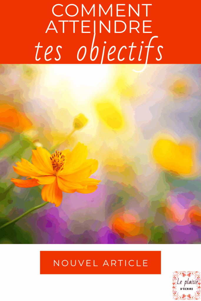 De nombreux chrétiens pensent que la poursuite des objectifs va à l'encontre de certaines croyances chrétiennes et est en contradiction avec le plan que Dieu a en réserve pour nous.